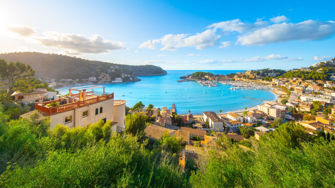 O imagine reprezentand palma de mallorca