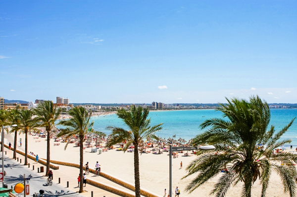O imagine reprezentand Palma