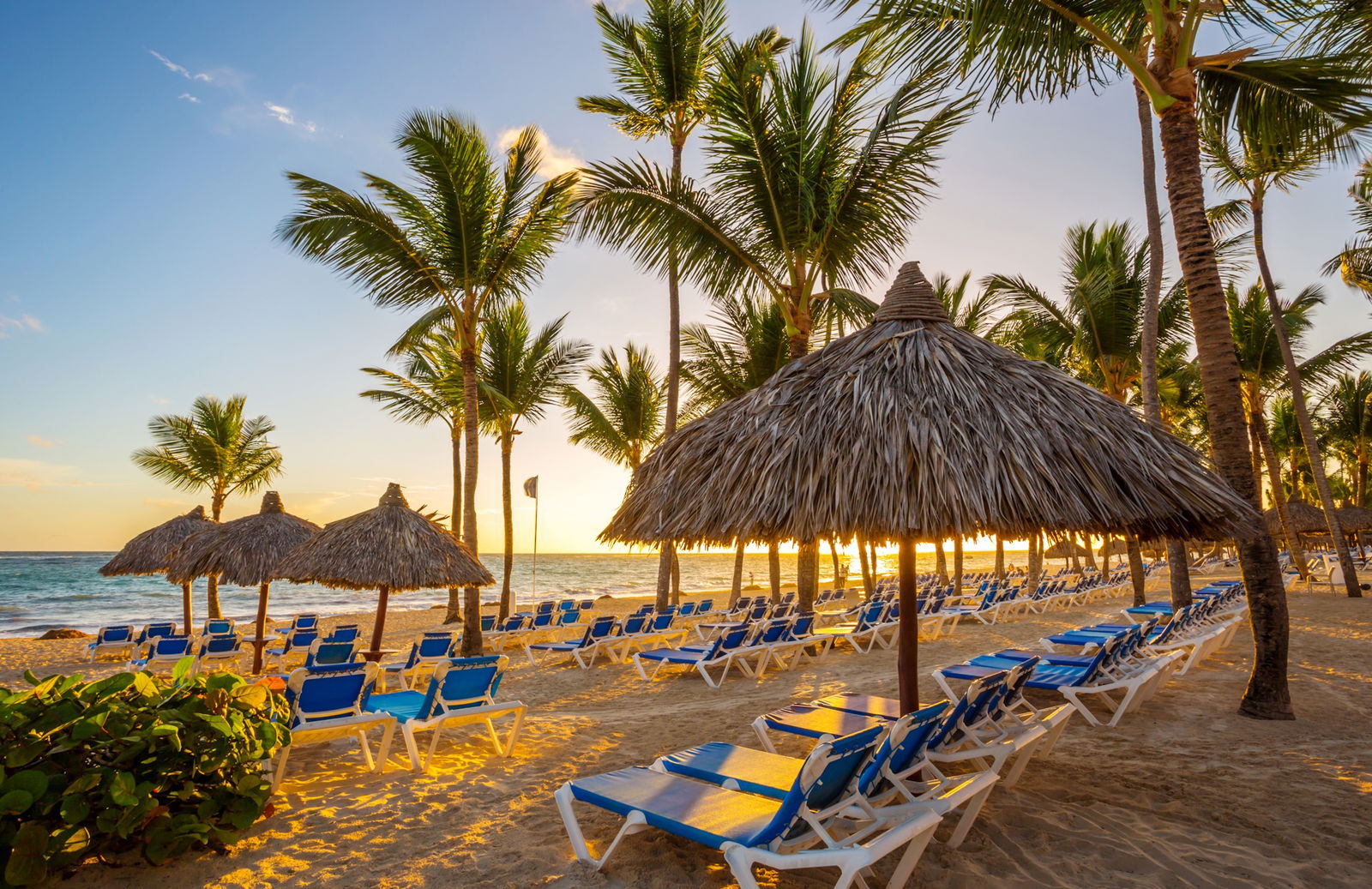 Charter Punta Cana