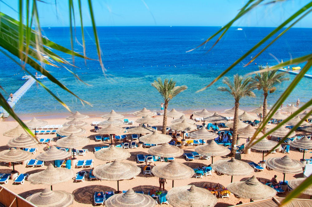 Charter Sharm el Sheik