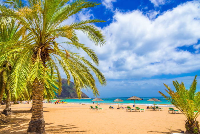Charter Tenerife